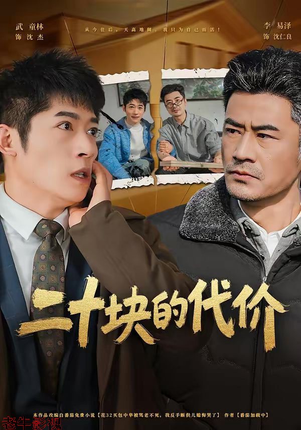 二十块的代价